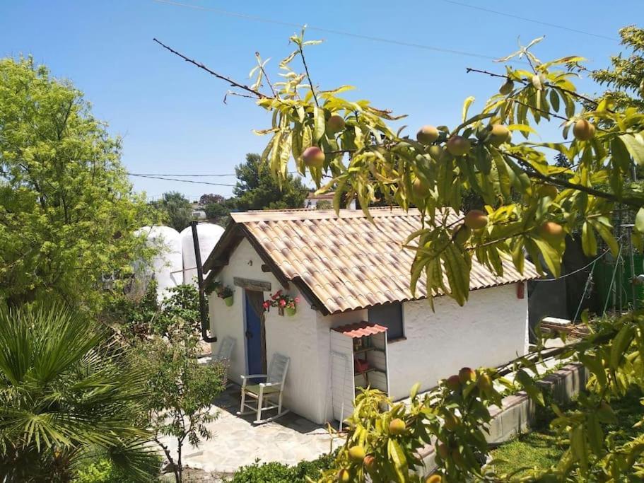 Villa Vivienda Rural La Choza Jerez de la Frontera Exterior foto
